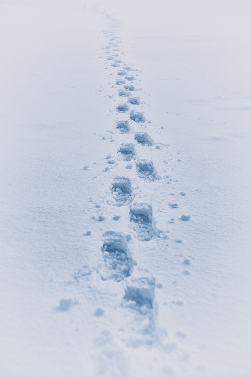 footprint in snow